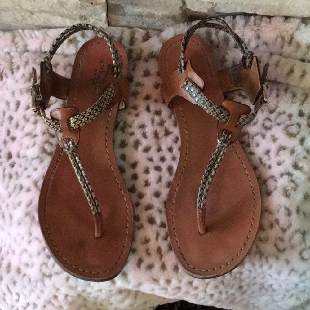 Snake Coach Sandals - Picture 2 of 6